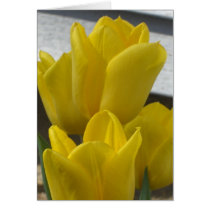 Estos tulipanes amarillos están para usted tarjetas
