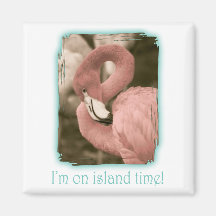 Estoy el tiempo de la isla imanes para frigoríficos