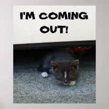 ¡ESTOY SALIENDO! Poster del GATITO
