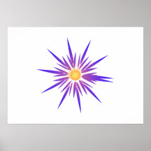 Estrella brillante impresiones