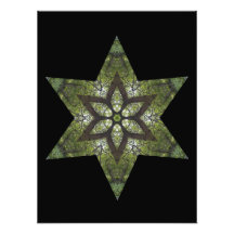 Estrella de arbolado arte fotografico