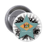 Estrella de Delaware Pin