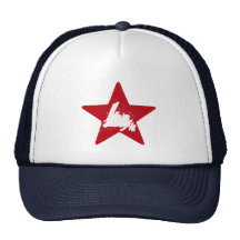 Estrella de Newfie Gorros Bordados