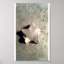 Estrella del hielo poster