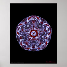 Estrella señalada de Cymatics cinco Posters
