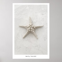 Estrellas de mar blancas impresiones