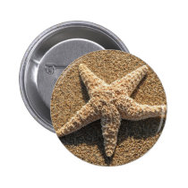 Estrellas de mar en la playa botones