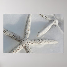 Estrellas de mar posters