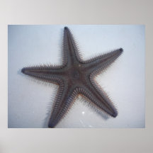 Estrellas de mar impresiones