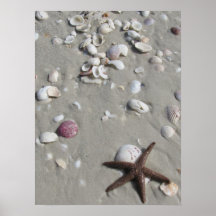 Estrellas de mar poster