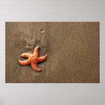 Estrellas de mar poster