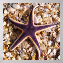 Estrellas de mar púrpuras impresiones