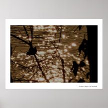 Estrellas de Willamette Posters