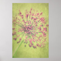 Estrellas pequeñas posters