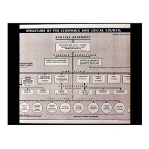 Estructura del consejo económico y social tarjeta postal