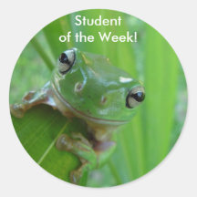 Estudiante de los pegatinas de la semana - rana so