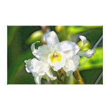 Estudio #2 de la orquídea impresiones en lienzo estiradas