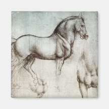 Estudio de caballos imanes de nevera