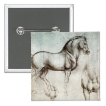 Estudio de caballos pin