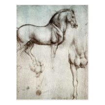 Estudio de caballos postal