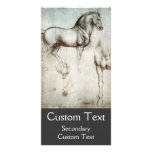 Estudio de caballos tarjeta con foto personalizada