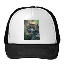 Estudio de la cabeza del Ocelot Gorras De Camionero