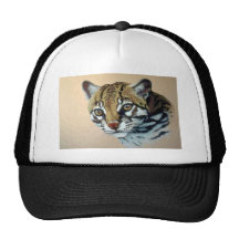 Estudio del Ocelot Gorro De Camionero