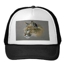 Estudio del puma gorro