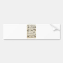 Estudios del brazo de Leonardo da Vinci C. 1510 Pegatina De Parachoque