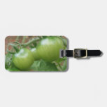 Etiqueta de encargo del equipaje de los tomates ve