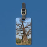 Etiqueta del equipaje del árbol del baobab etiquetas de maleta