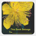 Etiqueta del libro de la flor