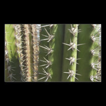 Etiqueta engomada del cactus de barril pegatinas