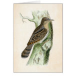 Eurasiático Wryneck Felicitacion