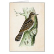 Eurasiático Wryneck Felicitacion