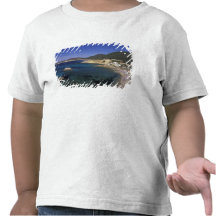 Europa, España, Balearics, Ibiza, Cala de Camisetas