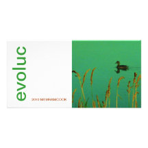 EVOLUC 2010 MEMRAMCOOK TARJETA FOTOGRAFICA PERSONALIZADA