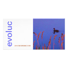 EVOLUC 2010 MEMRAMCOOK TARJETA PERSONAL