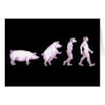 Evolución de cerdos tarjetón