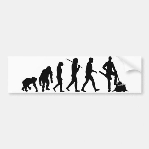 Evolución del bunyan de los madereros del feller d pegatina de parachoque
