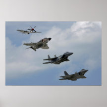 Evolución del combatiente posters