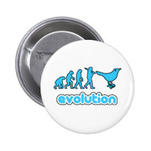Evolución del gorjeo pins