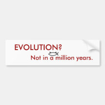¿EVOLUCIÓN? PEGATINA DE PARACHOQUE