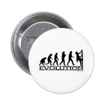 Evolución - subiendo pins