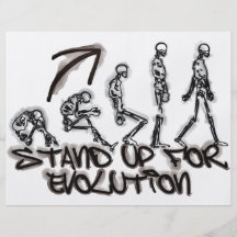 EVOLUCIÓN TARJETAS INFORMATIVAS