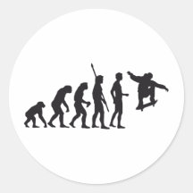 evolution skateboard stickers