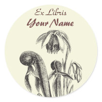 Ex pegatinas de la planta carnívora de Libris pegatinas