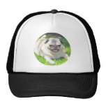 Excelente Gorro