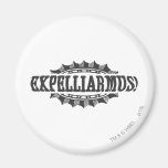 ¡Expelliarus! Imán Para Frigorifico
