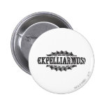 ¡Expelliarus! Pins